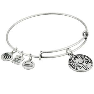 NWT Alex & Ani Power of Unity Bangle Bracelet